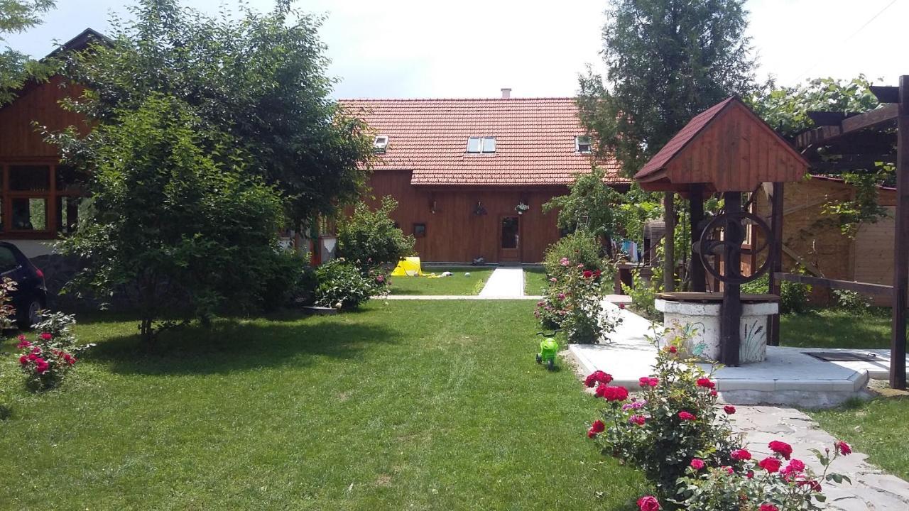 Albinuta Guesthouse Ozun Εξωτερικό φωτογραφία