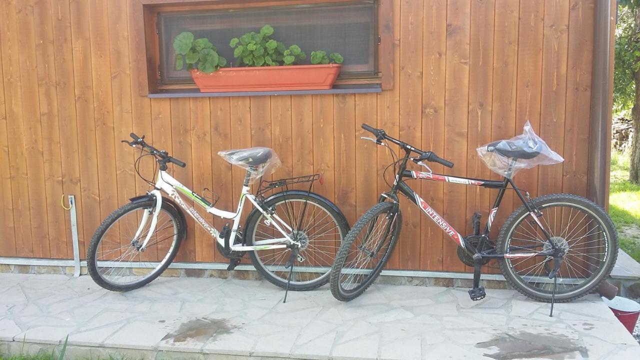Albinuta Guesthouse Ozun Εξωτερικό φωτογραφία