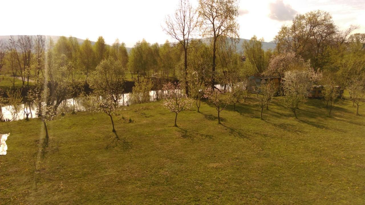 Albinuta Guesthouse Ozun Εξωτερικό φωτογραφία