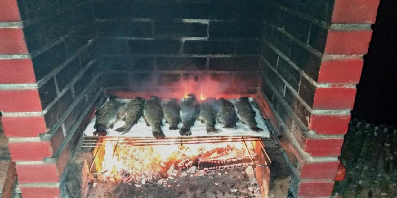 Albinuta Guesthouse Ozun Εξωτερικό φωτογραφία